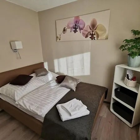 Schaumburg- Rosenthal Appartement