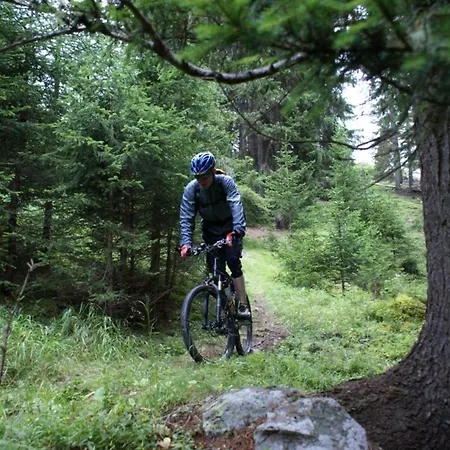 Schaumburg- Rosenthal